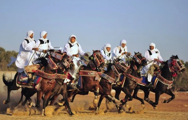 مسابقات اسب دوانی در مصر، لیبی و نیجریه