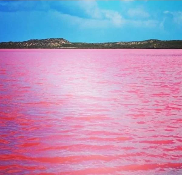 دریاچه هیلیر، استرالیا
