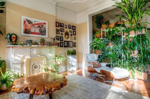 دیوار شاخص با گیاهان آپارتمانی