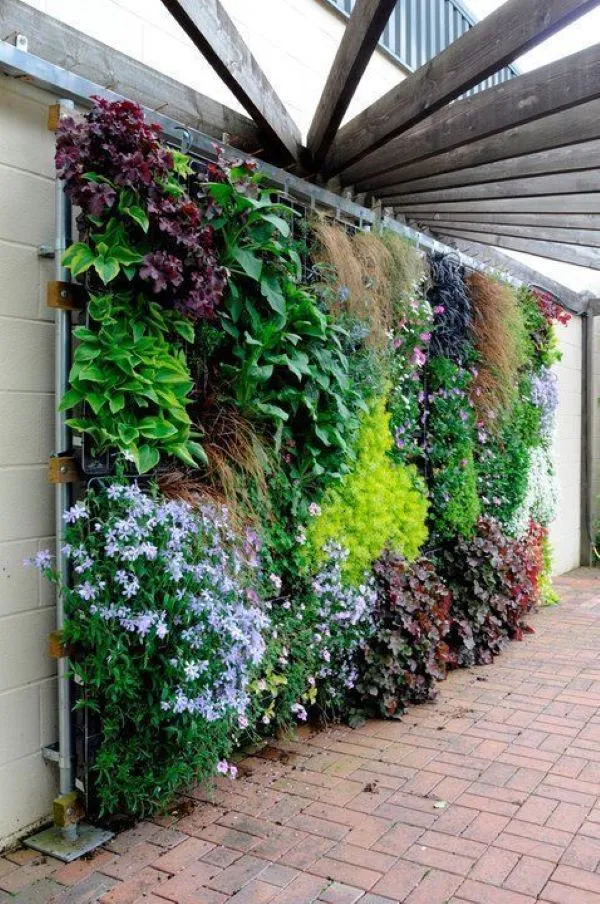 طراحی دیوار سبز در حیاط
